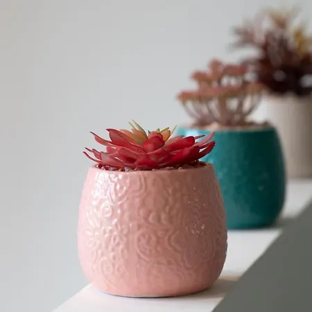 Holiday home La Capeyronnaise - Maison Cosy - Jardin