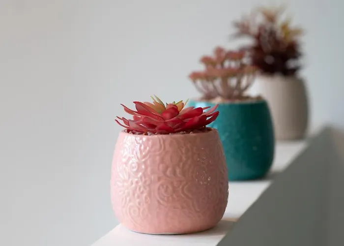 Vakantiehuis La Capeyronnaise - Maison Cosy - Jardin